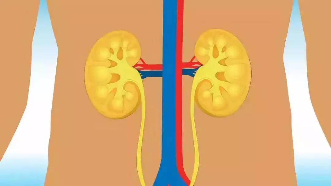 老是打嗝怎么办快速止嗝,老是打嗝怎么办快速止嗝的方法