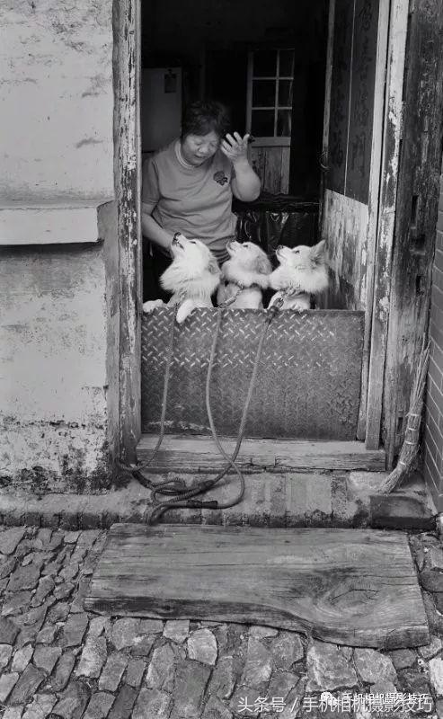 怎么学会给图片起名字呢,如何给照片取名字呢