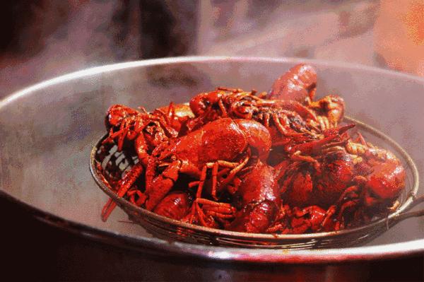 趣谈中国史阅读,趣谈新中国