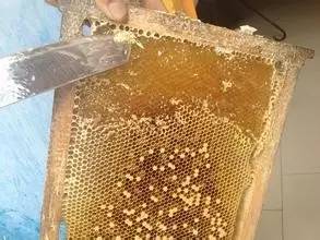 蜂蜜标准19330和14963区别,正品蜂蜜的执行标准代号