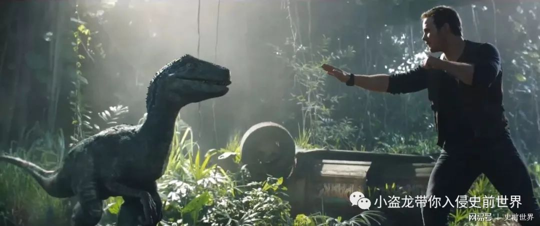 侏罗纪世界2一口气看完解说,《侏罗纪世界2》所有恐龙的名字