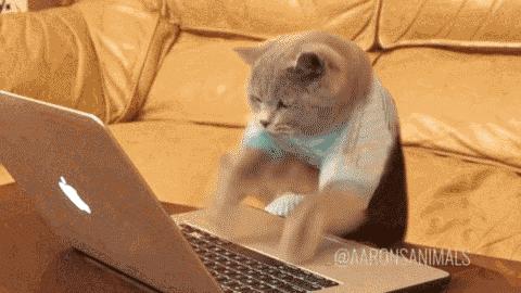 超高性价比户外装备,性价比超高微物装备