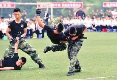 武术擒拿技巧大全,擒拿格斗锁喉36种招式视频