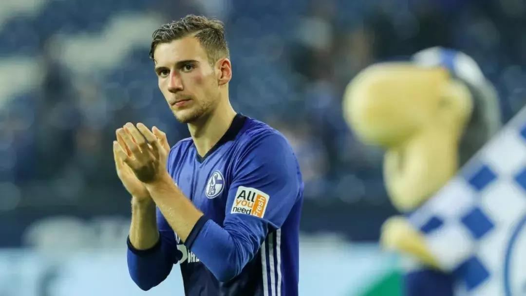 世界杯肉肉的仙人球,世界杯金肉肉