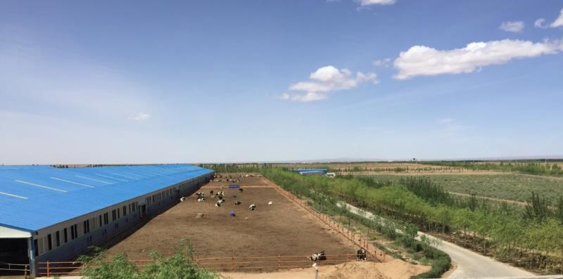 世界杯期间你所不知道的京东618：24小时不停机生产包火车送货