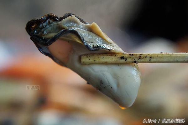 日本北海道函馆朝市美食,北海道函馆朝市美食