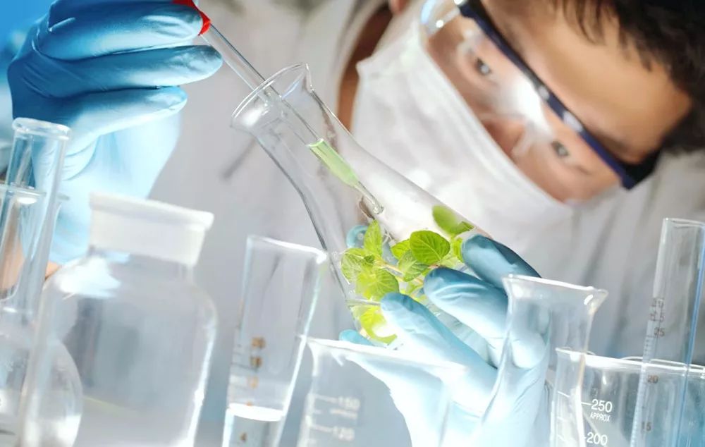 润颜嫩滑补水面膜,秋冬季补水修护面膜