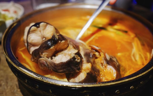 贵阳数博会周边美食,贵阳美食展