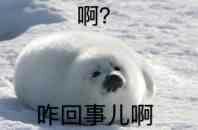 58同城淘宝刷单兼职？小编险些被网上兼职坑蒙拐骗的真实惨历！