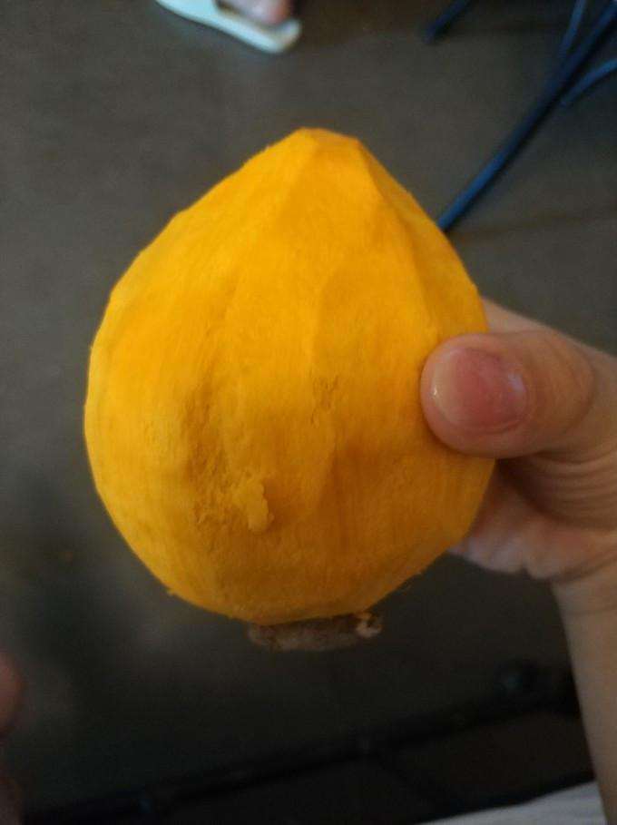 旅行结婚,结婚旅行适合去哪