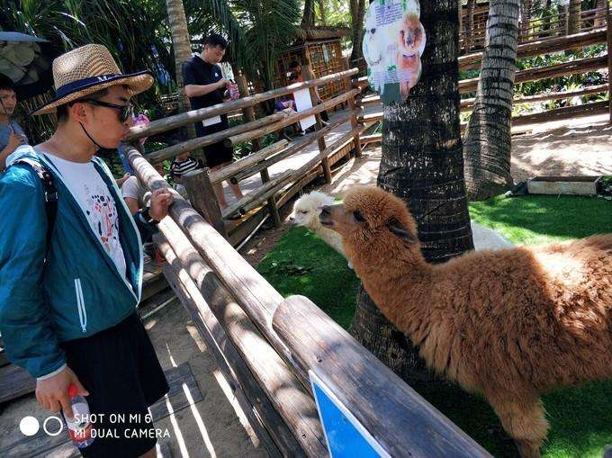 旅行结婚,结婚旅行适合去哪