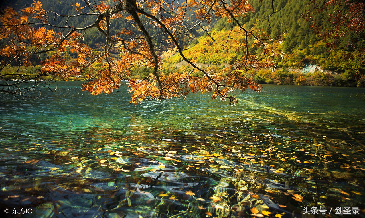 增广贤文人生在世多见多闻,增广贤文世事明如镜