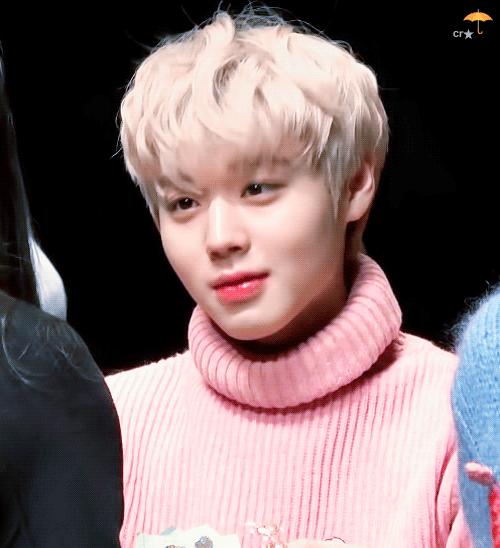 当粉丝看到朴志训,南韩爱豆出圈名场面朴志训