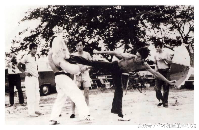 为道塾李小龙龙争虎斗图集,李恺和李小龙最新视频