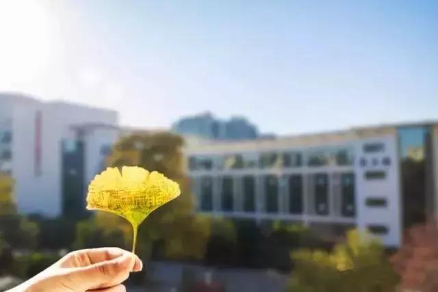 云南最好的大学是哪个大学,云南最好农校