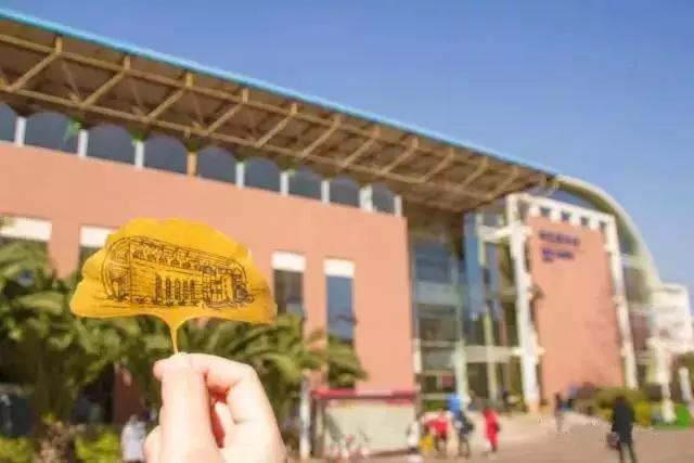 云南最好的大学是哪个大学,云南最好农校