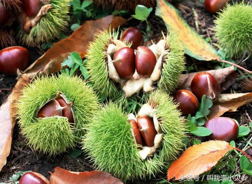 去天津旅游怎么买到便宜的特产,天津旅游必买的特产