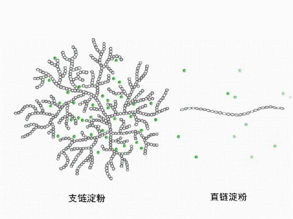 糯米属于粗粮还是优质碳水,糯米含量最多的有机物是糖类吗