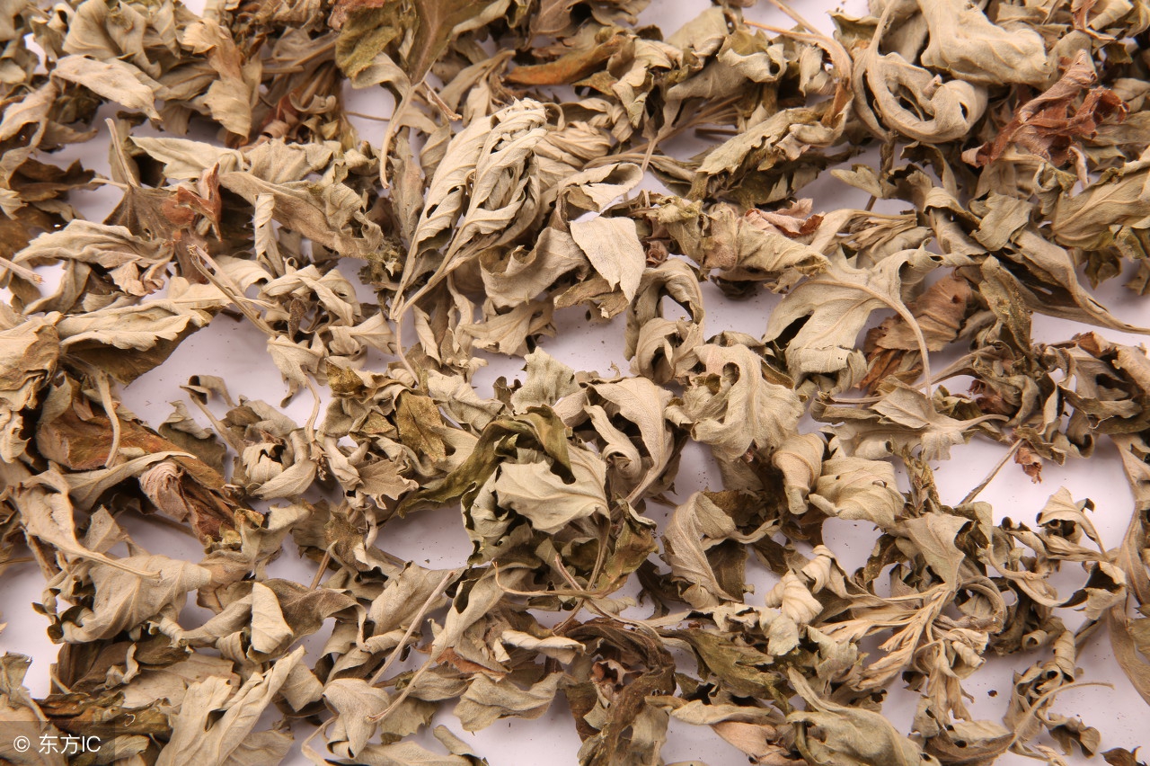 端午节艾叶能怎么养生,端午节怎么过最快乐