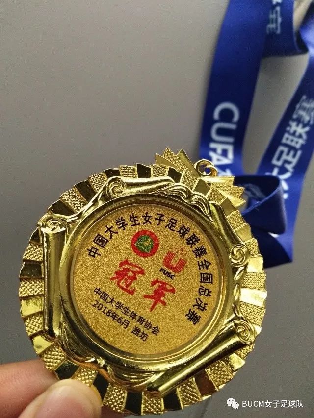 铿锵玫瑰归来小说,女足铿锵玫瑰回家