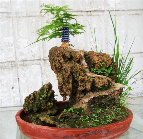 上水石盆景用什么水好,适合种盆景里的点缀