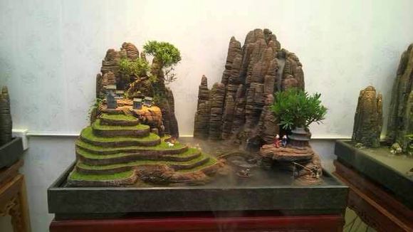 上水石盆景用什么水好,适合种盆景里的点缀