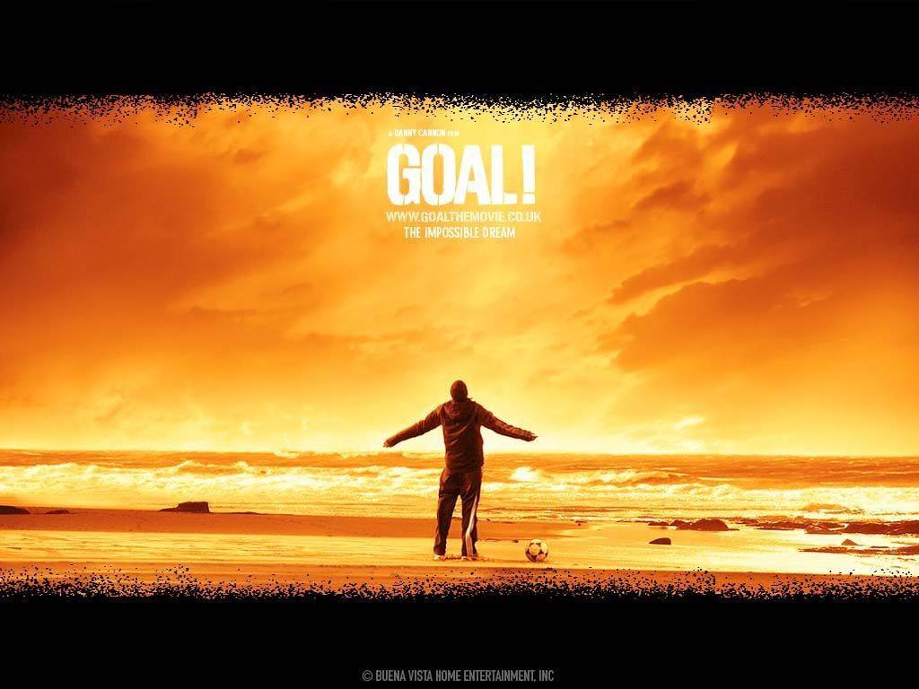 真球迷假球迷的区别,真球迷伪赌徒