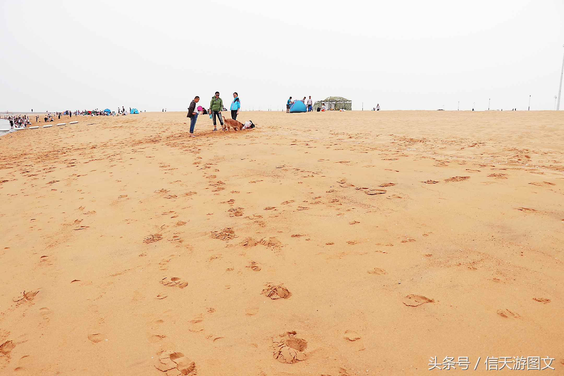 潍坊北海欢乐海游玩攻略,潍坊北海海边攻略