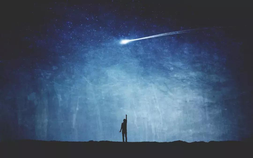 活得很怂的人都是对自己太好了,认怂活得久