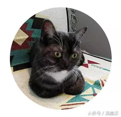 粽子连环画,有声连环画之铜钟案