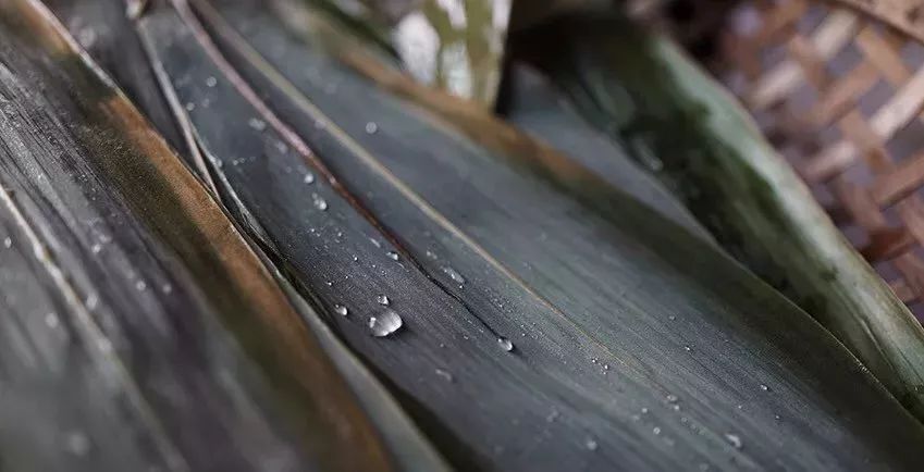 粽子推荐有肉粽和甜粽,豆沙粽是哪个省区的特色粽