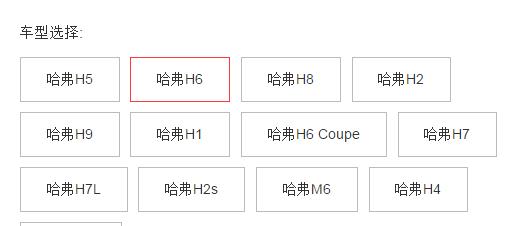 哈弗团购会,哈弗夏季团购会