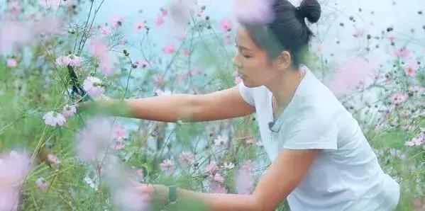 西昌泸沽湖住宿酒店推荐好一点,泸沽湖自由行住宿推荐