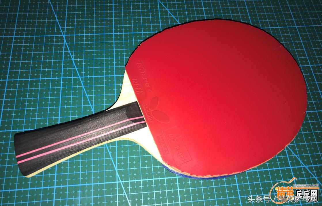 「精英聊器材」回看桃李无颜色，映得芙蓉不是花——斯帝卡杜鹃