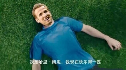 调侃世界杯美伊大战,调侃世界杯小组