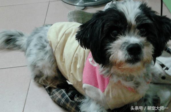 乳腺肿瘤秒懂百科,5分钟了解肿瘤