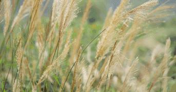 中国女足朋友圈刷屏,中国女足官方忍不住发文盛赞