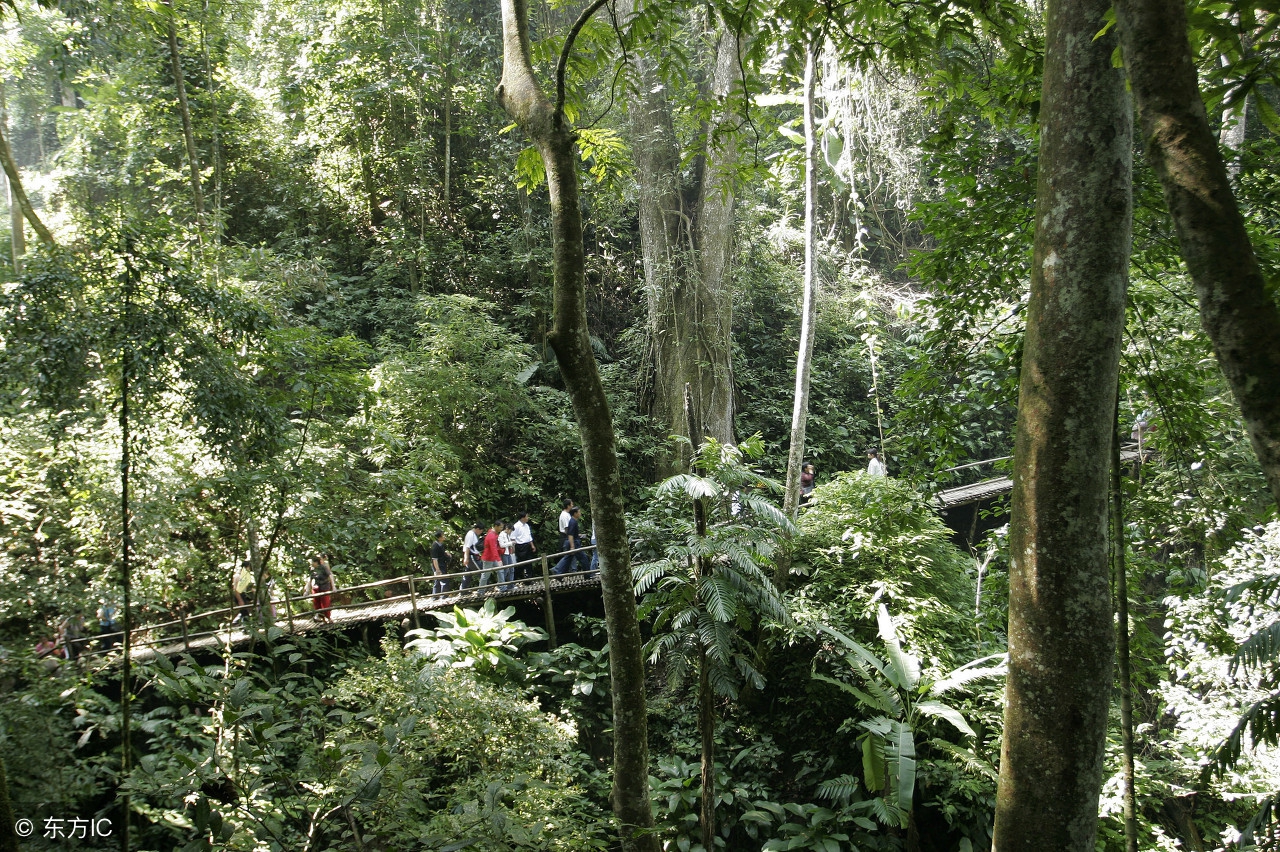 浙江新昌玻璃栈道,浙江平湖玻璃栈道