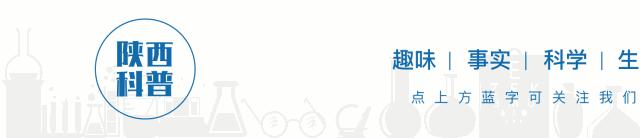 危险的情况怎么办,危险应对措施