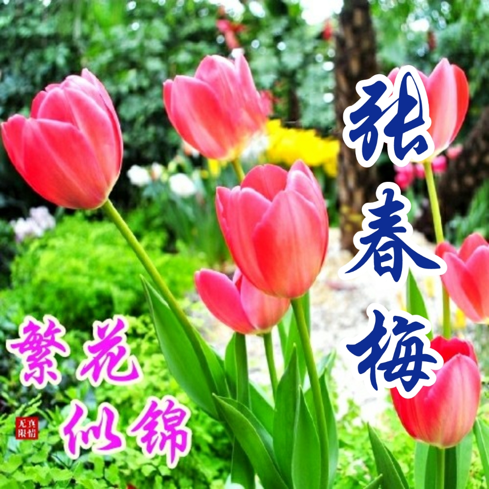 国画山水聚财聚水生财图片,聚水为财图片