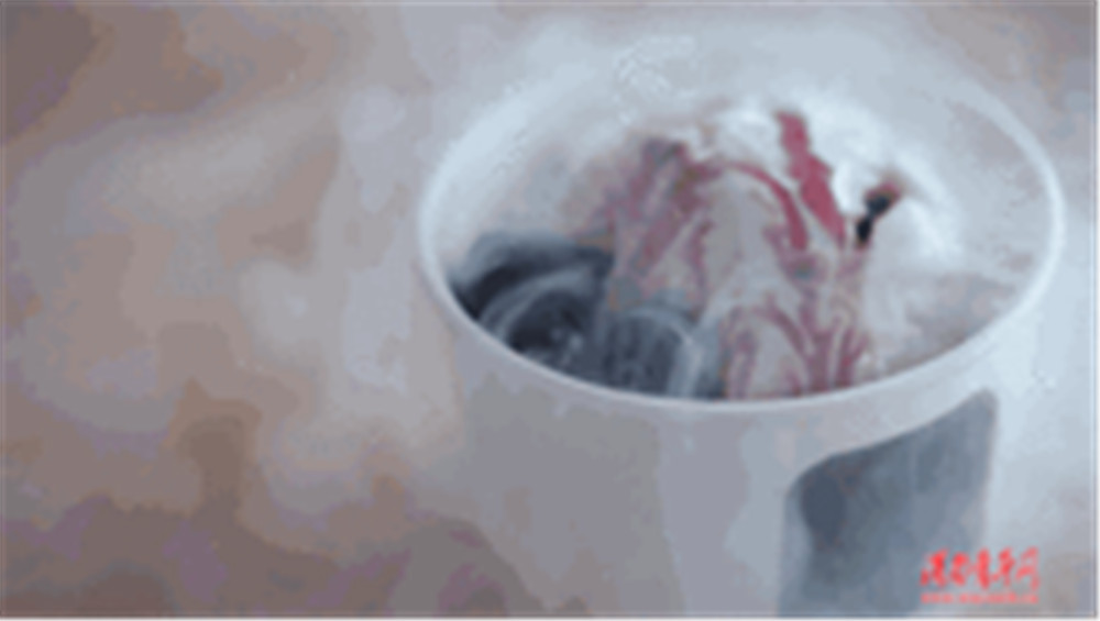 世界杯球赛啤酒节,激情世界杯