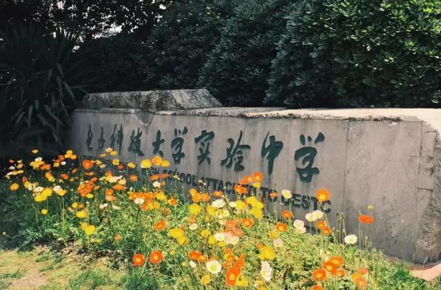 stem缇庡浗绉戞妧鍒涙柊璇剧▼,stem绉戞妧璇剧▼