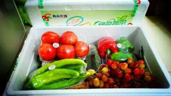 总有一款适合你春耕备耕进行中,现代农业案例分享