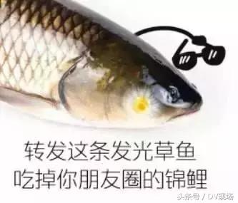 在驾校考的驾驶证有假的,驾校有发假的驾驶证情况吗