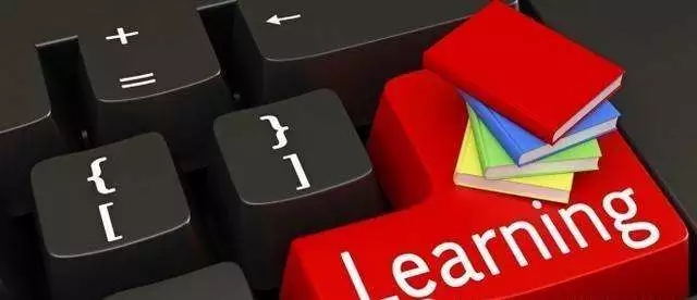 警惕热潮下的“郁金香”：谈教育投资的快与慢