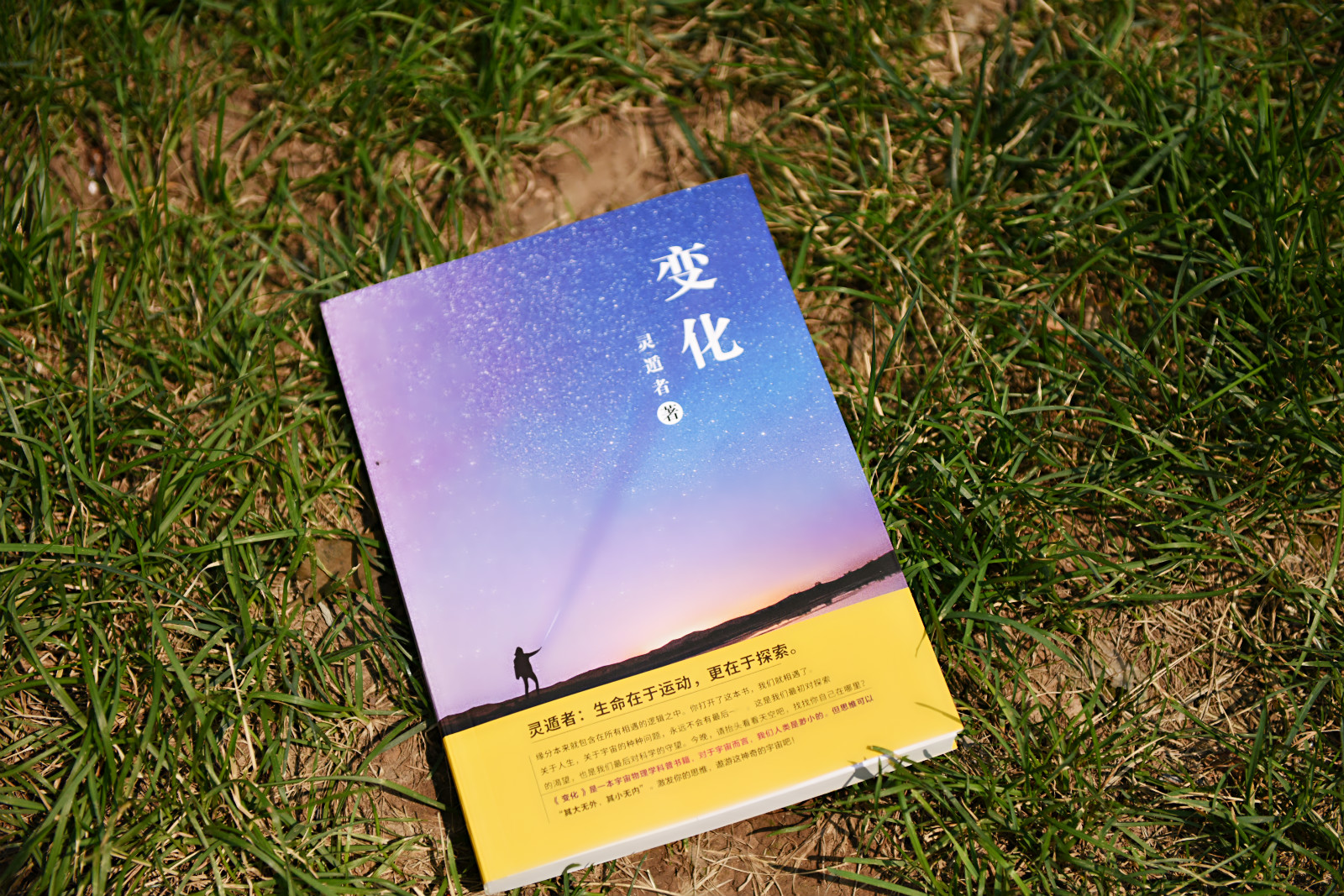 超导现象有哪些特征请简单阐述,超导现象的解释