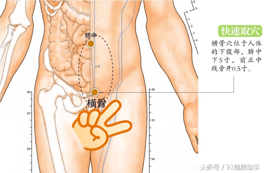 肾虚按肚子上穴位,肾气虚尿频的穴位