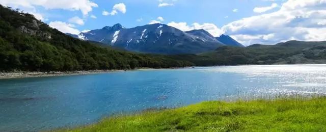 世界杯决赛潘帕斯雄鹰高卢,世界杯潘帕斯进球