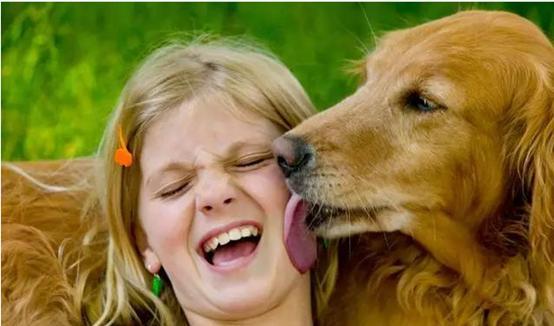 如何消除狗狗的口臭,怎么分辨狗狗口臭原因