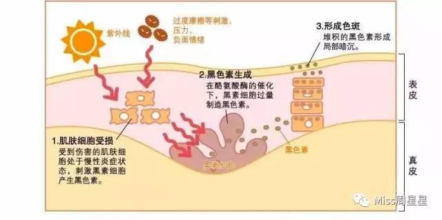 25岁熬夜用什么护肤品,25岁熬夜蜡黄肤色不均抗老